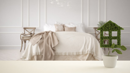 White table top or shelf with green plant in pot shaped like house, modern blurred bedroom in the background, interior design, real estate, eco architecture concept idea