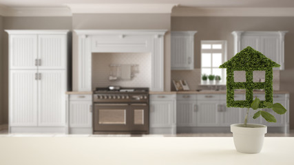 White table top or shelf with green plant in pot shaped like house, modern blurred kitchen in the background, interior design, real estate, eco architecture concept idea