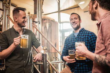 Three men tasting fresh beer in a brewery