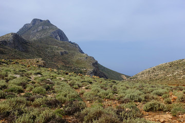 Photo of wild goat on the road to iconic Balos lagoon in natural preserve area, Crete island, Greece