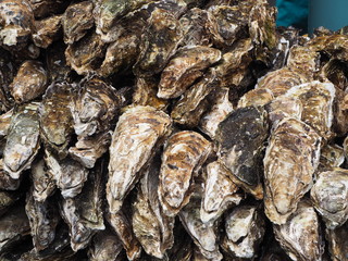 A view of fish market in Hitachinaka city, Ibaraki prefecture.  This town faces the Pacific Ocean and we can eat delicious seafood.  