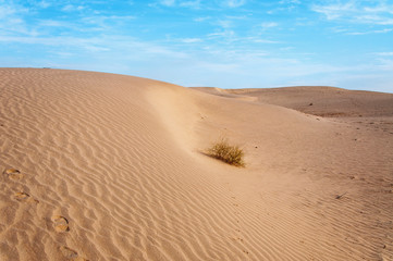Footprints in the sand dunes 