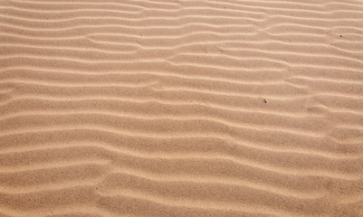 Ripples in the golden sand