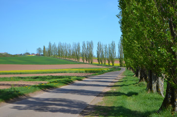 Landschaft