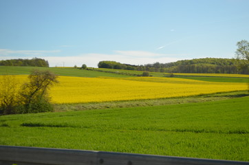 Fototapeta premium Landschaft