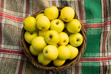 basket with apples on a bright plaid on green grass in summer sunny weather