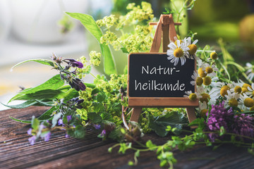 Schild: Naturheilkunde-auf Staffelei mit verschiedenen Heilpflanzen dekoriert - obrazy, fototapety, plakaty