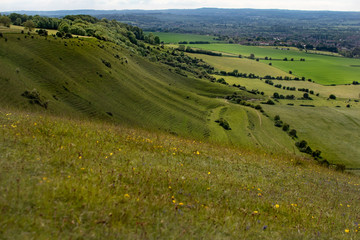 Obraz premium Landscape