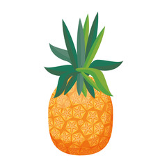 delicious tropical fruit icon cartoon