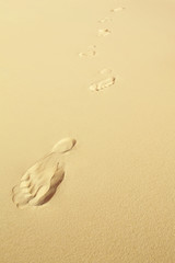 Relaxing walk on the warm sand