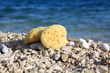 Fototapeta na wymiar Sea sponges on the sea beach. Face care. Cosmetic.