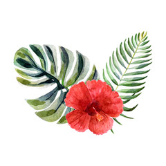 Watercolor bright summer illustration with tropical flowers