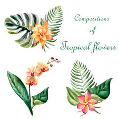 Watercolor bright summer illustration with tropical flowers