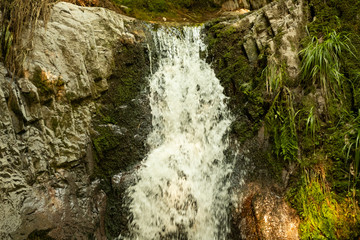 Blackforest Waterfall