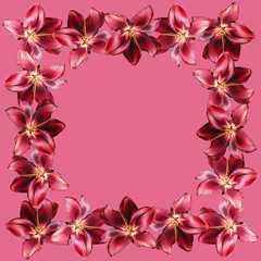 Beautiful floral pattern of burgundy lilies. Isolated