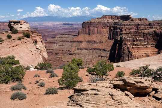 Shafer Canyon Overlook, eroded landscape, rock formations, Island in the Sky, Canyonlands National Park, Utah, USA, North America