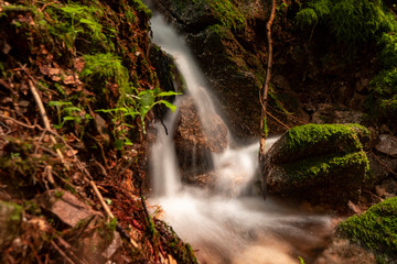 Blackforest Waterfall