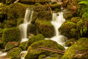 Blackforest Waterfall