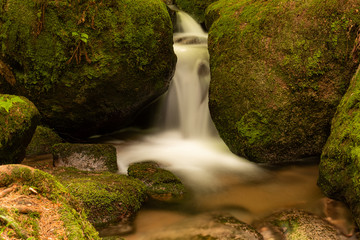 Blackforest Waterfall