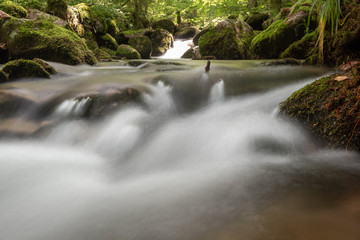 Blackforest Waterfall