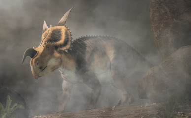An Einiosaurus on foggy background. Einiosaurus was a ceratopsian dinosaur, like the triceratops, from the Cretaceous period. 3D Rendering © Daniel Eskridge