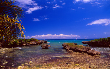 Fototapeta na wymiar Guadeloupe: coastal landscape with rocks and a sailboat at Bas du Fort
