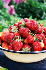 Ripe red juicy strawberries in bowl on juicy green grass background. Horizontal photo. Place for text.