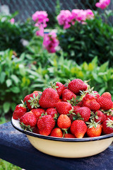 Ripe red juicy strawberries in bowl on juicy green grass background. Horizontal photo. Place for text.
