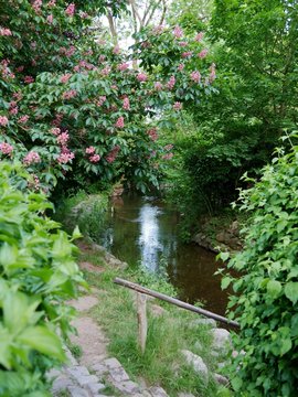 Kneippkur am Fluss von Buckow