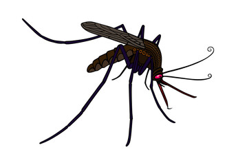Evil hungry mosquito with red eyes. Vector illustration.
