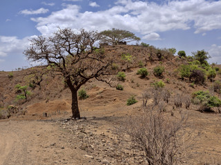 Fototapeta premium The beauty of a mountainous landscape in northern Ethiopia