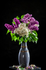 Lilac in vase on the black background