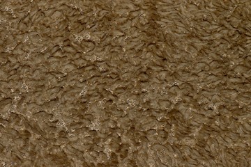 The tan colored wool lining of a Winter jacket, highlighting the rough textures and patterns.