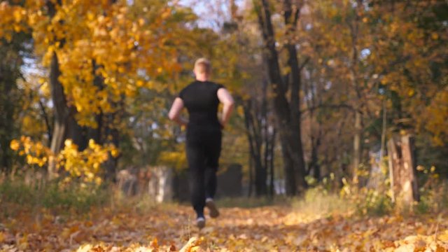 Unrecognizable sportsman running in autumn park stepping on dry maple leaves. Male runner jogging on colorful fallen foliage. Young athlete training in nature. Concept of healthy lifestyle. Rear view