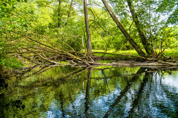Obraz premium Landschaft und Meditation in Mecklenburg: Im Naturraum Nebeltal bei Kuchelmiß am Krakower See