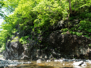 渓流 川 せせらぎ 上流