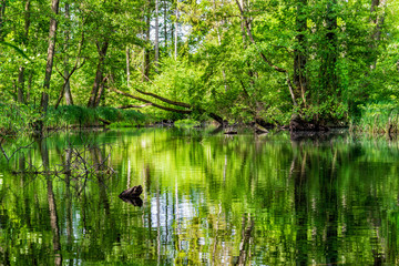 Landschaft und Meditation in Mecklenburg: Im Naturraum Nebeltal bei Kuchelmiß am Krakower See