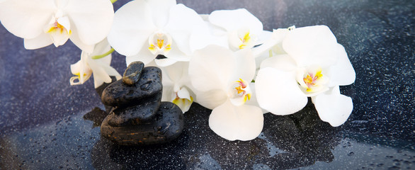 Obraz na płótnie Canvas White orchids flowers and spa stones . Spa background.
