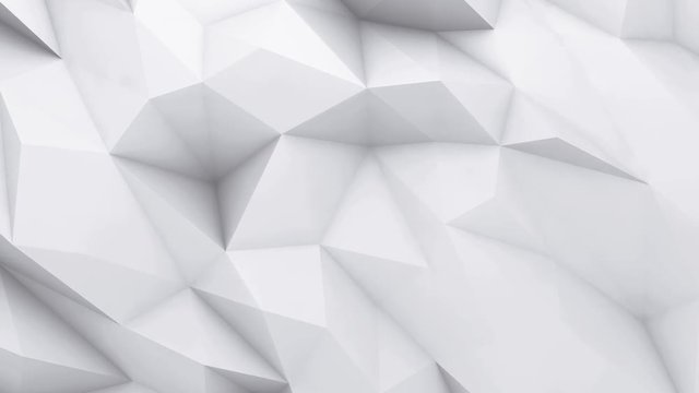 3D animation - White low poly texture