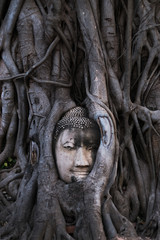 WAT MAHATHAT AYUTTHAYA Travel Thai Asia In Thailand. Buddha statue in Big tree. Archaeological site