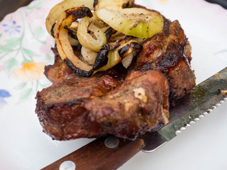 Meat shish kebab with onions, knife spring picnic, selective focus