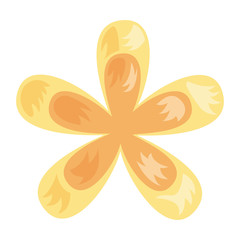 tropical exotic flower decoration icon