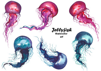 Fototapeta premium Set of red and blue jellyfishes. Watercolor illustration on white background. Isolated elements for design.