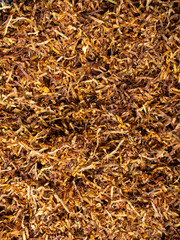 Tobacco texture. High quality dry cut tobacco big leaf, close up, background