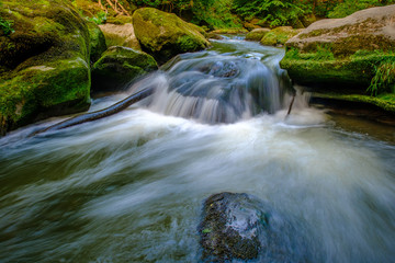Obraz premium Rapids on Prüm river near Irrel, Rhineland-Palatinate, Germany