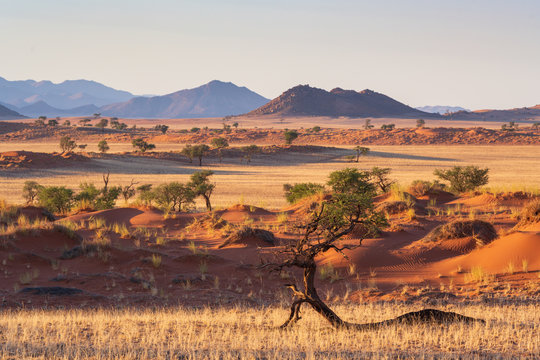 unber&uuml;hrte Landschaft am Rande der Namib, Namibia
