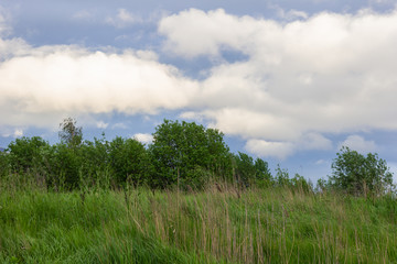 Obraz premium krajobraz chmury pole ekologia drzewa