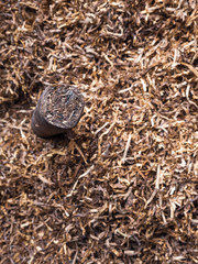 cuban cigar on tobacco background, macro, selective focus
