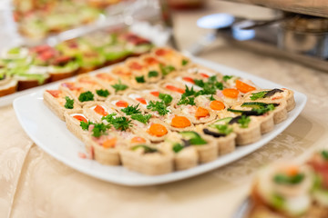 Delicious appetizer close-up buffet.