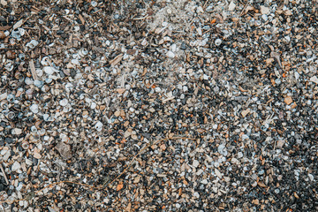 Colorful sea or river pebbles, rocks and shells